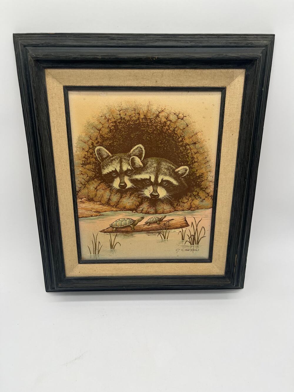 Vintage C.Carson Raccoons Watching Turtles Collectible Wildlife Framed Art Print